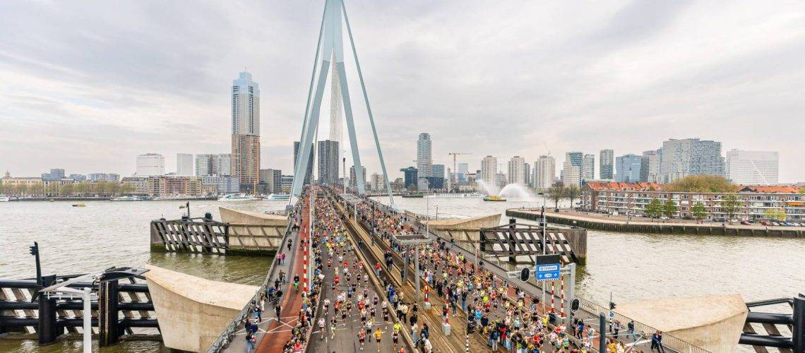 LDDK-20250413-0006 (Groot)