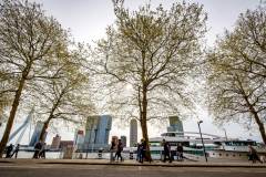 bhMarathon_Rotterdam_Walk013
