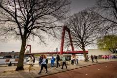 bhMarathon_Rotterdam_Walk019