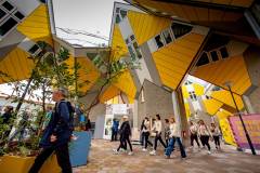 bhMarathon_Rotterdam_Walk022