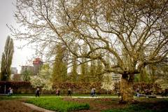 bhMarathon_Rotterdam_Walk043