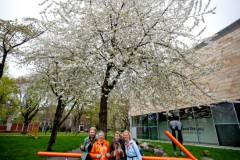 bhMarathon_Rotterdam_Walk045