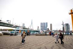 bhMarathon_Rotterdam_Walk084