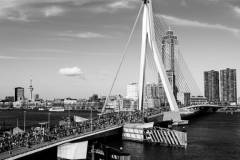 1_LDDK-20260412-0036
